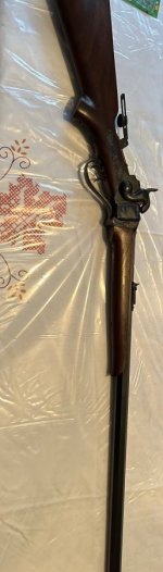 IMG_0058.jpeg IMG_0058.jpeg