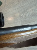 IMG_7850.jpeg