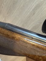 IMG_7852.jpeg