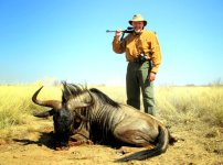 blue wildebeest.jpg blue wildebeest.jpg