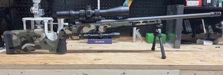 IMG_1809.jpeg