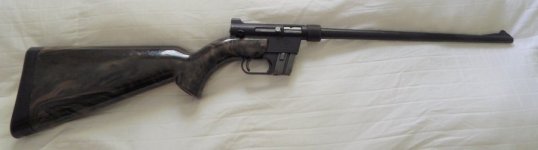 AR-7 Close Pic 1-17-2022 - MINE.jpg AR-7 Close Pic 1-17-2022 - MINE.jpg