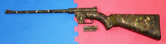 2 my Henry AR-7 3-30-24 B.JPG 2 my Henry AR-7 3-30-24 B.JPG