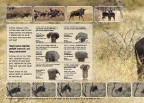 np kat_08_en_Page_28.jpg