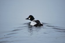 IMG_2735.jpeg