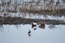 IMG_2759.jpeg