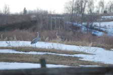 IMG_2792.jpeg