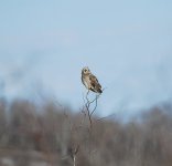 IMG_2782.jpeg