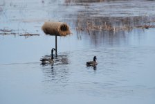 IMG_2756.jpeg