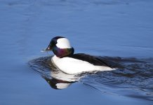 IMG_2835.jpeg