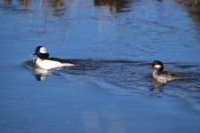 IMG_2836.jpeg