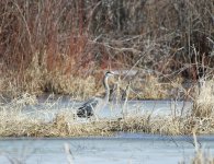 IMG_2839.jpeg
