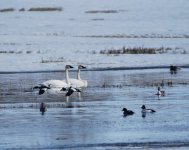 IMG_2840.jpeg