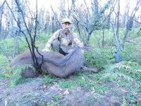 trophy spike 308.jpg