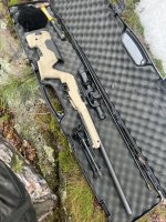 IMG_0231.jpeg