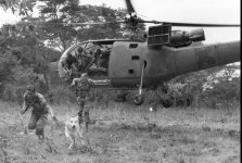Rhodesia 162.jpg