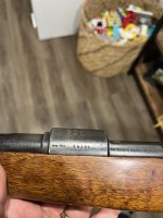 IMG_4028.jpeg
