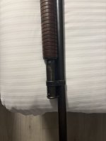 IMG_4710.JPEG