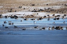 DSC_0004.JPG