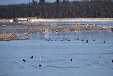 DSC_0053.JPG