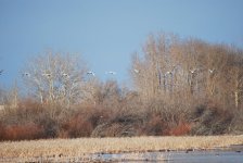 DSC_0086.JPG