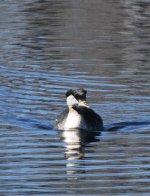IMG_3081.jpeg