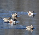 IMG_3085.jpeg