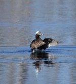 IMG_3055.jpeg
