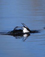 IMG_3075.jpeg