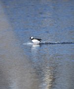 IMG_3077.jpeg