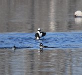 IMG_3079.jpeg