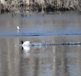 IMG_3078.jpeg