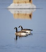 IMG_2894.jpeg