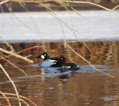 IMG_3038.jpeg