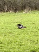 IMG_8601.jpeg