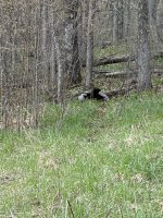 IMG_8613.jpeg