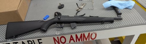 Cropped Rifle.jpg