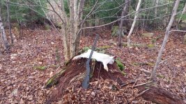 IMG_0117.jpeg