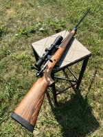 IMG_1317.jpeg IMG_1317.jpeg