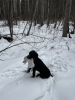 IMG_0253 (1).jpeg