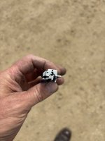 IMG_9233.jpeg