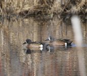 IMG_3484.jpeg