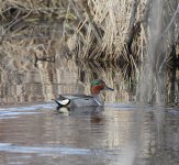 IMG_3473.jpeg