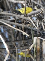 IMG_3469.jpeg