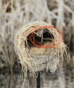 IMG_3461.jpeg