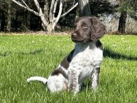 IMG_6215.jpeg