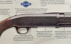 IMG_1544.jpeg IMG_1544.jpeg
