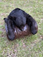 IMG_8810.jpeg