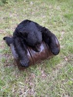 IMG_8811.jpeg