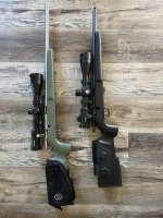 IMG_9358.jpeg
